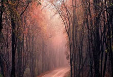 国乒包揽亚洲杯领奖台，用表现回应樊振东恩师！梯队建设初见成效.