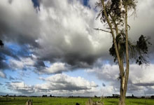 比赛日前瞻:申花力拼亚冠出线希望,米兰亚特兰大能否翻盘?.