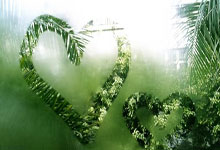 欧冠-姆巴佩失点麦卡利斯特破门 利物浦2-0皇马.