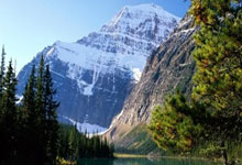 必威体育：[流言板]好兄弟！范德比尔特今日暂停后和戴维斯在场边激情“互喷”50亮263回复.