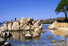 必威体育:年收入首過10億 皇馬「金錢聯賽」續居首.